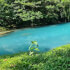 Rio Celeste