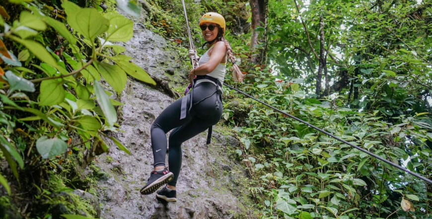 Canopy