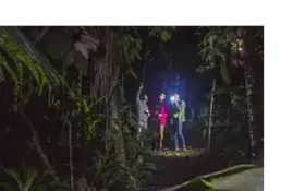 Night walk